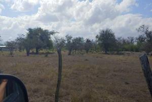 Terreno de 65 Manzanas Planas Cercanas al Aeropuerto de Palmerola 