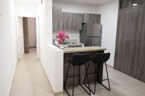 Alquiler de Apartamento Amueblado de 1 Habitación en El Trapiche  