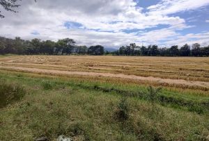 SE VENDE TERRENO DE 7.45 MANZANAS A 5 MINUTOS DEL AEROPUERTO PALMEROLA, COMAYAGUA.