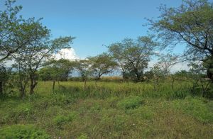 VENTA DE TERRENO 1.5 MZN EN COMAYAGUA CERCANO AL AEROPUERTO PALMEROLA