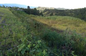 Venta de Terreno 48,500 varas Salida al Norte 
