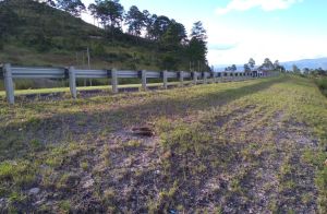 Venta de Terreno 48,500 varas Salida al Norte 