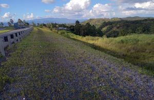 Venta de Terreno 48,500 varas Salida al Norte 