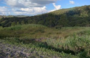 Venta de Terreno 48,500 varas Salida al Norte 