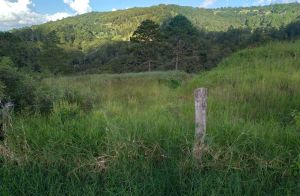Venta de Terreno 48,500 varas Salida al Norte 