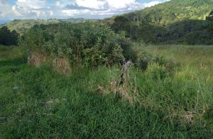 Venta de Terreno 48,500 varas Salida al Norte 